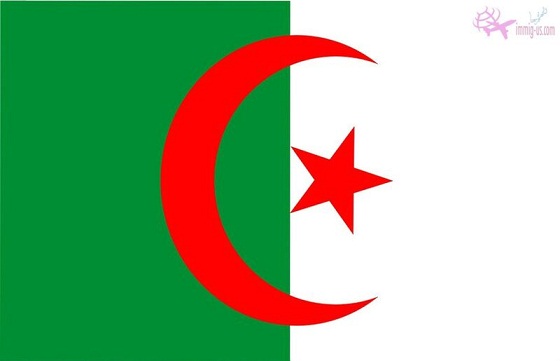 سفارة الجزائر بالقاهرة