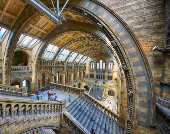 متحف التاريخ الطبيعي لندن