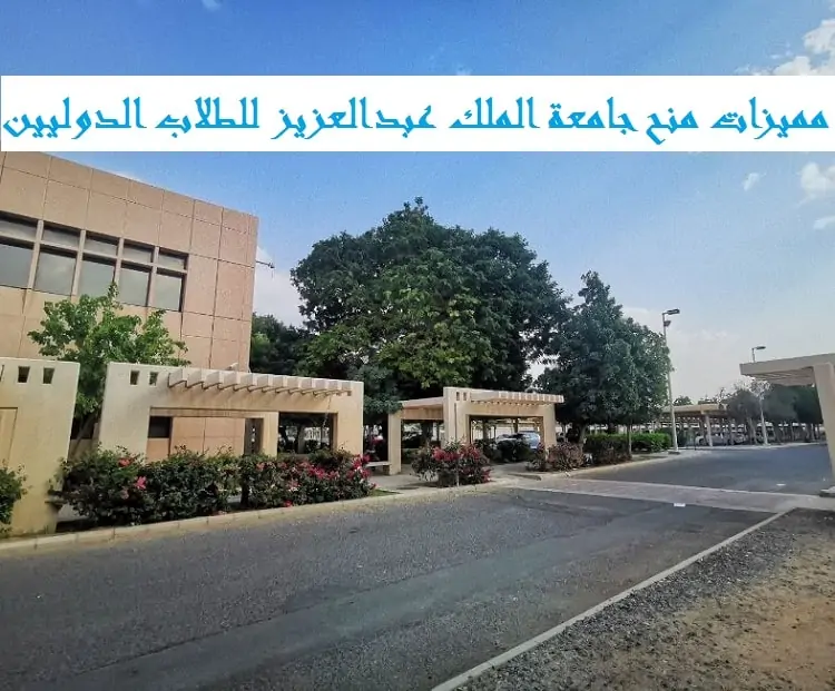 مميزات منح جامعة الملك عبدالعزيز