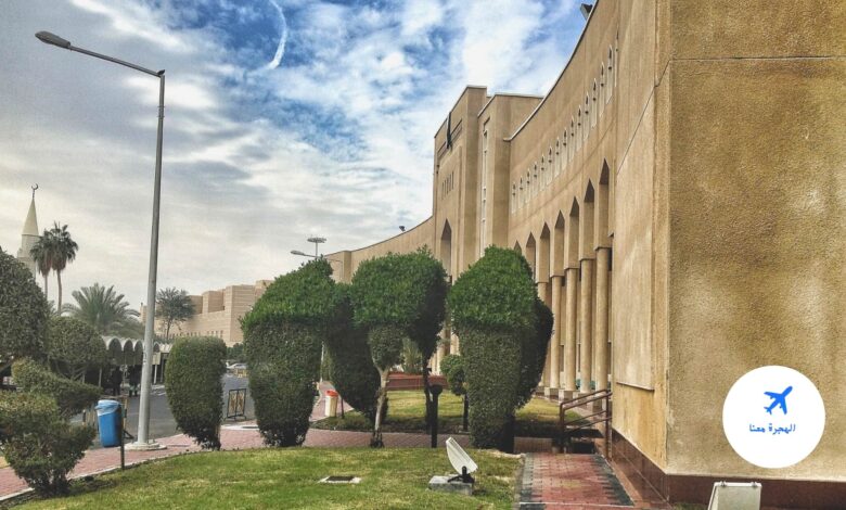 نسب قبول جامعة الكويت 2023