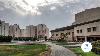 نسبة قبول كلية الصيدلة في الكويت