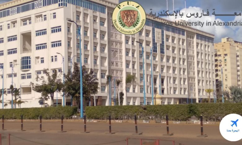 أرخص جامعة خاصة في الإسكندرية