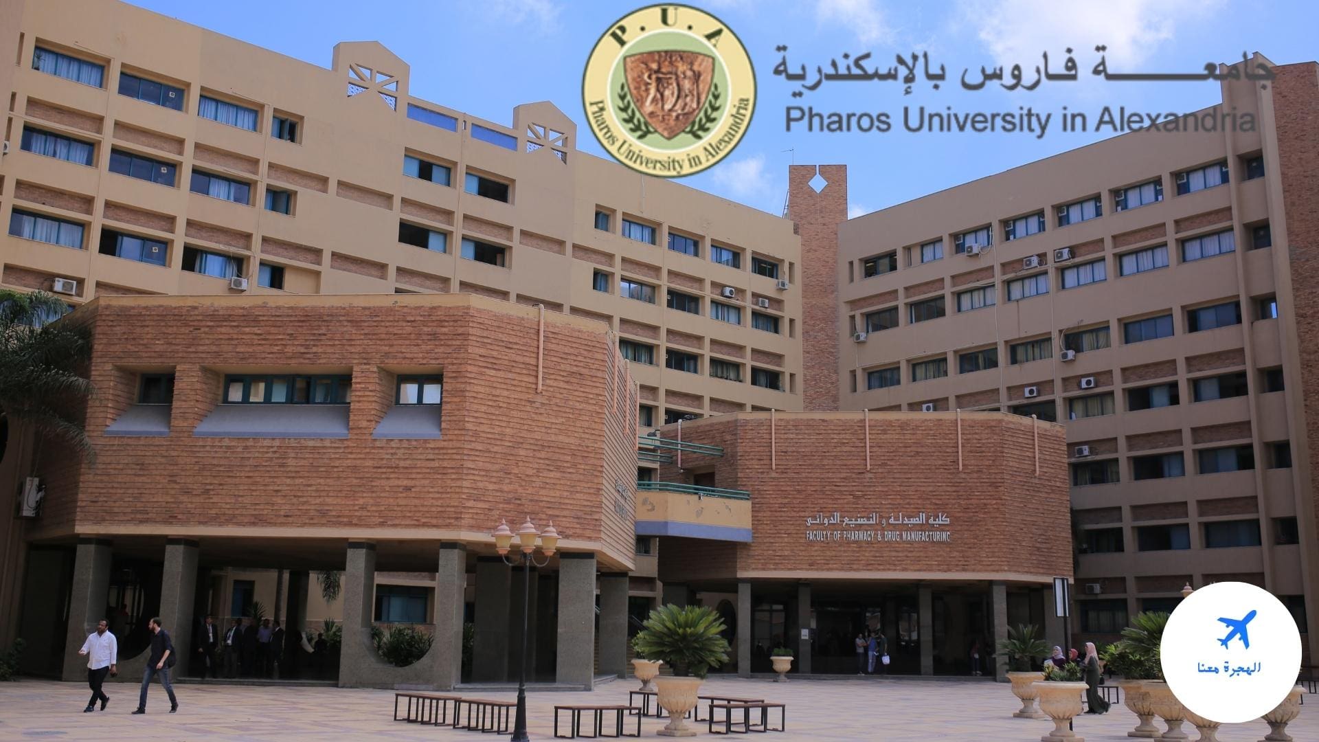 تخصصات جامعة فاروس بالاسكندرية