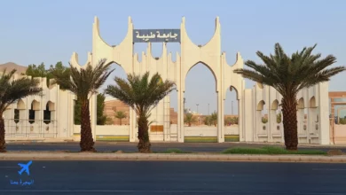 جامعة طيبة إحدى جامعات المملكة لدراسة طب الأسنان