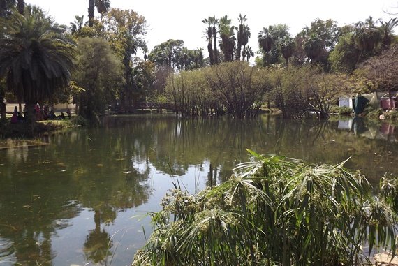 Orman_garden_-_Cairo_By_Hatem_Moushir_6