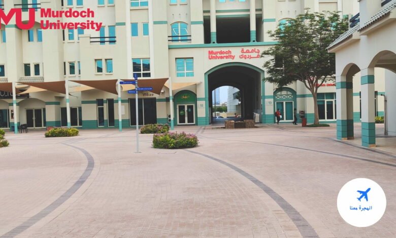 جامعة مردوخ في دبي