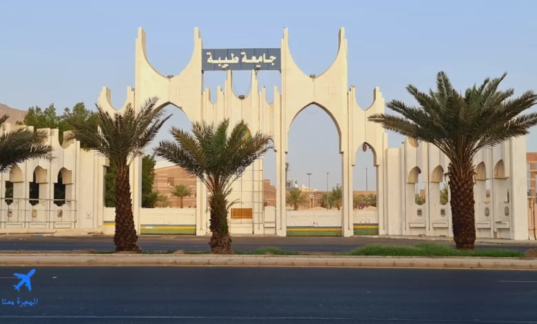 صورة من جامعة طيبة