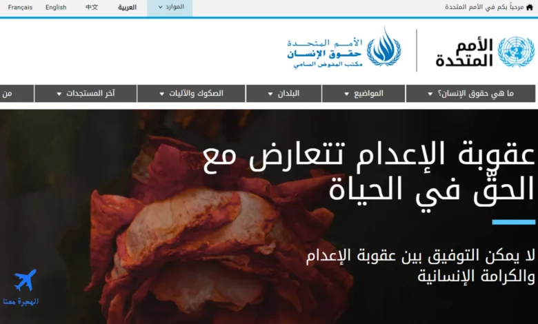 كيف اتواصل مع منظمة حقوق الإنسان في ألمانيا