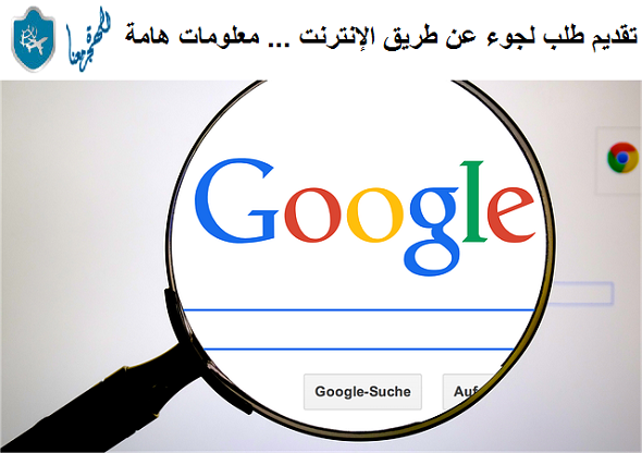 تقديم طلب لجوء عن طريق الإنترنت