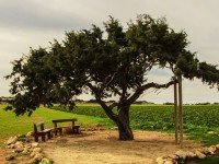 سياحة قبرص
