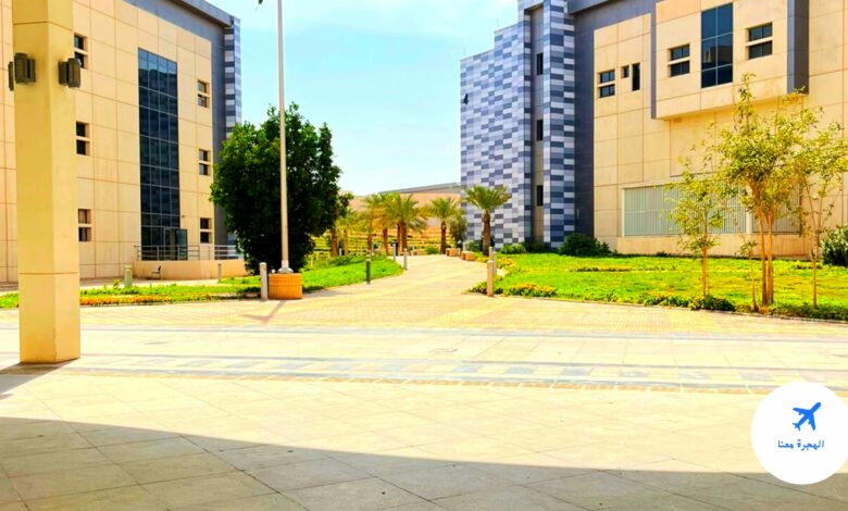 نسب القبول في جامعة الملك سعود