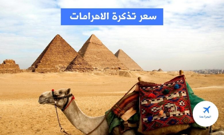 سعر تذكرة الاهرامات 2025