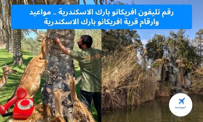 رقم تليفون افريكانو بارك الاسكندرية
