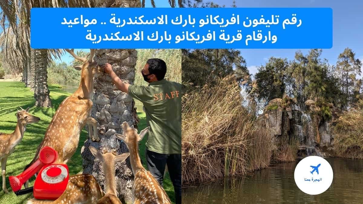 رقم تليفون افريكانو بارك الاسكندرية