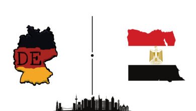 القنصلية المصرية فرانكفورت