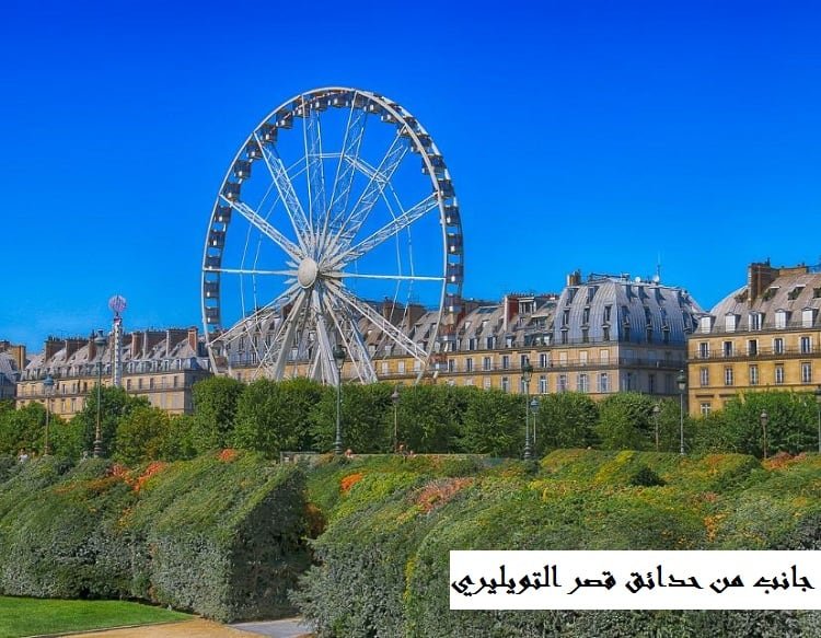 أنشطة سياحية في باريس للعوائل