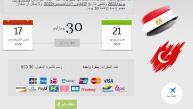 فيزا تركيا اون لاين للمصريين