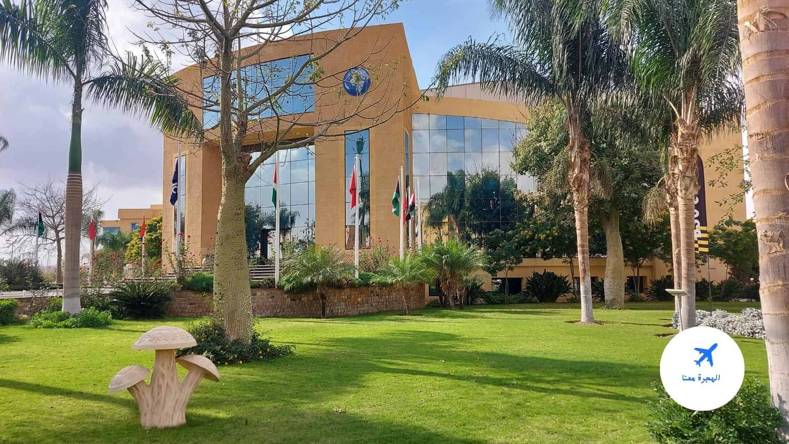 افضل منح جامعية لدراسة الطب في مصر