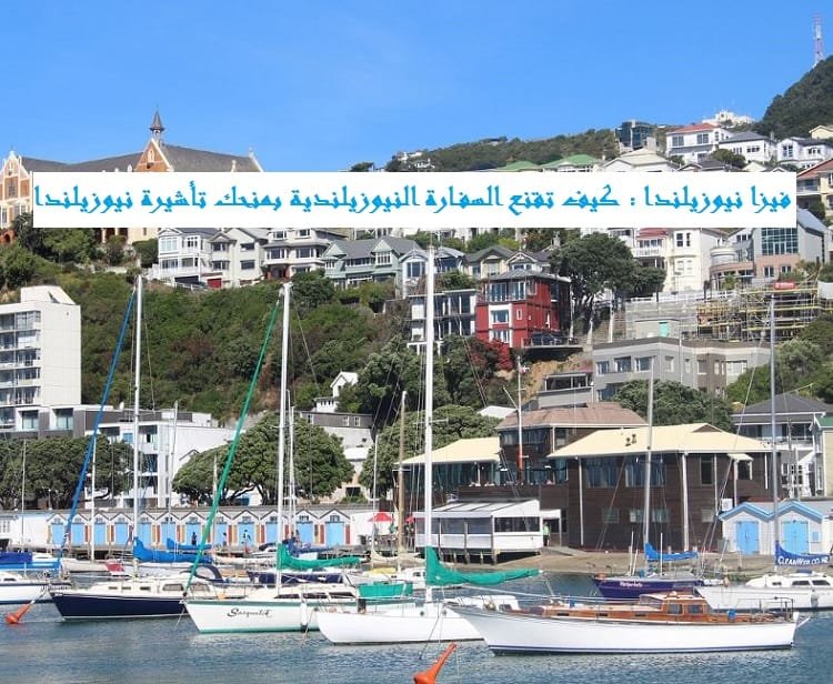 فيزا نيوزيلندا