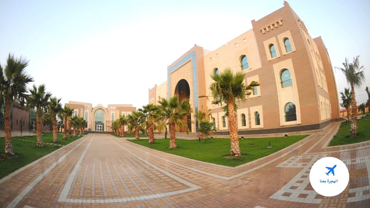 تخصصات دبلوم جامعة جازان