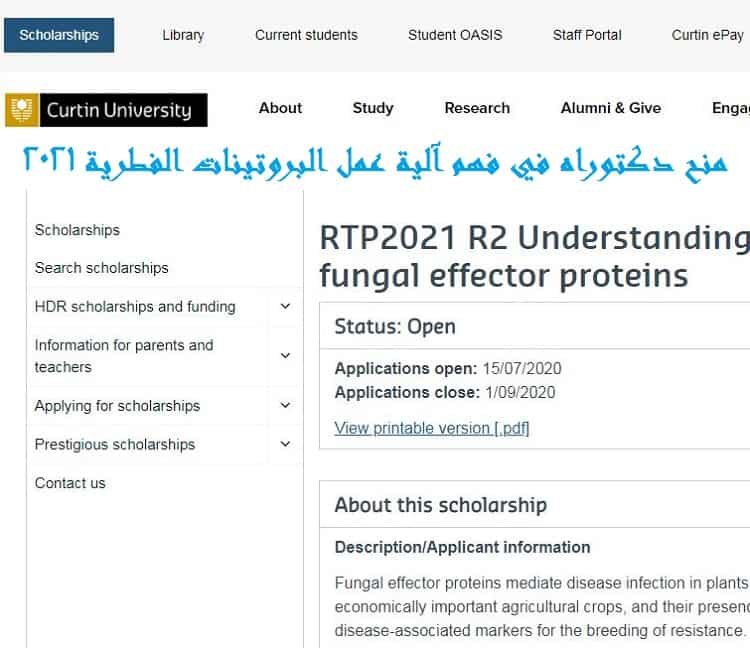 منح دكتوراه في فهم آلية عمل البروتينات الفطرية 2025