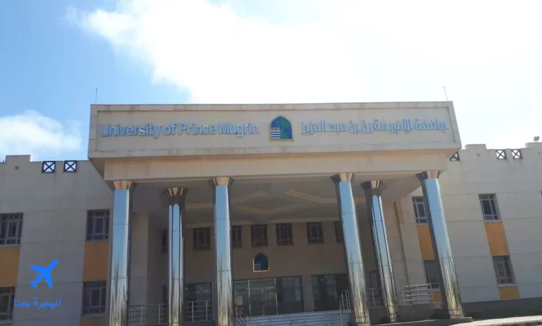 جامعات المدينة المنورة