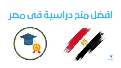 كيف احصل على منحة دراسية مجانية في مصر؟