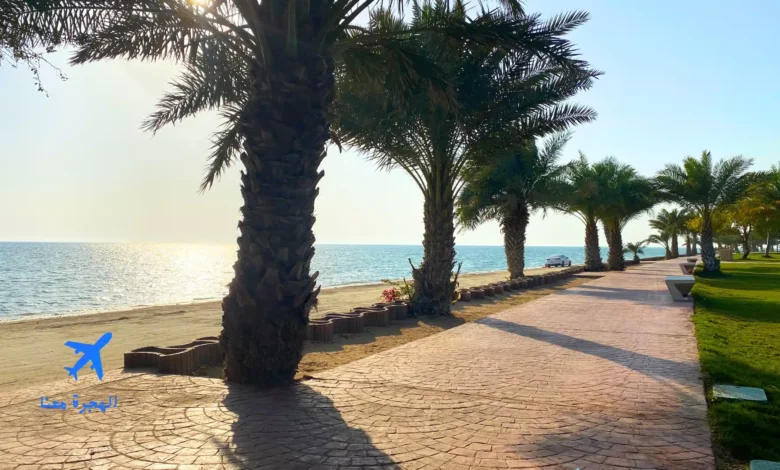 شورة الشاطئ الشمالي في ينبع