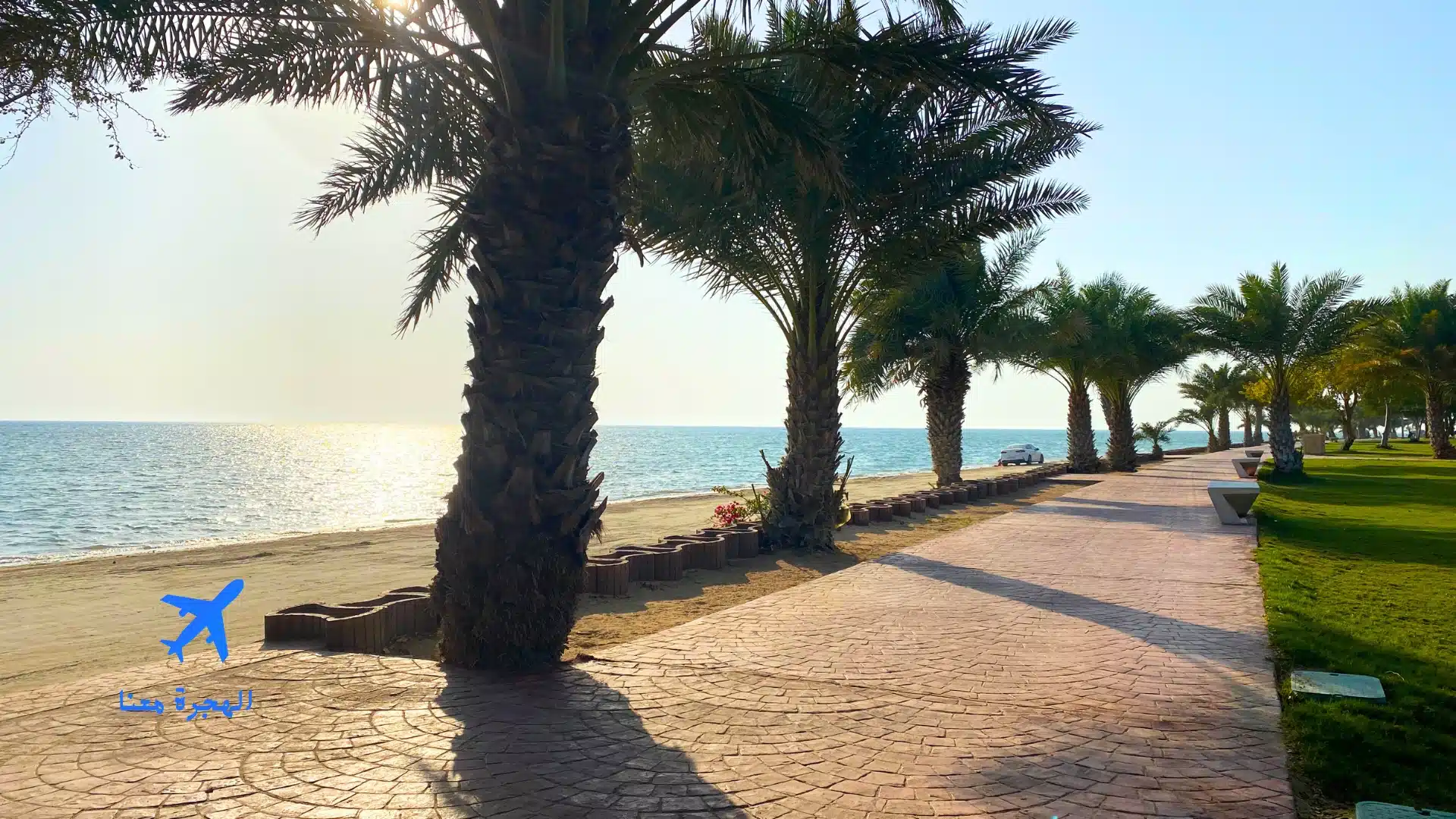 شورة الشاطئ الشمالي في ينبع