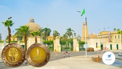 أسعار كليات الهندسة الخاصة في مصر 2025