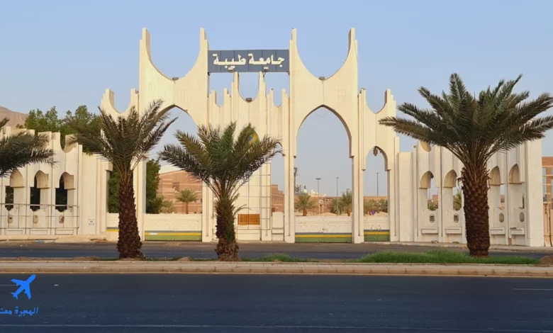 جامعة طيبة إحدى جامعات المملكة لدراسة طب الأسنان