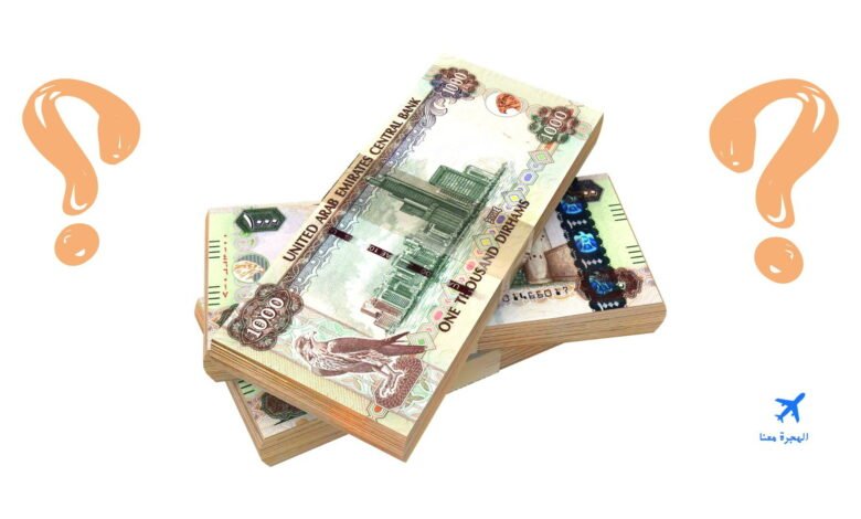أسعار الجامعات في الإمارات للوافدين