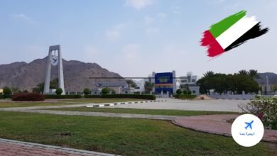 جامعة العلوم والتقنية في الفجيرة