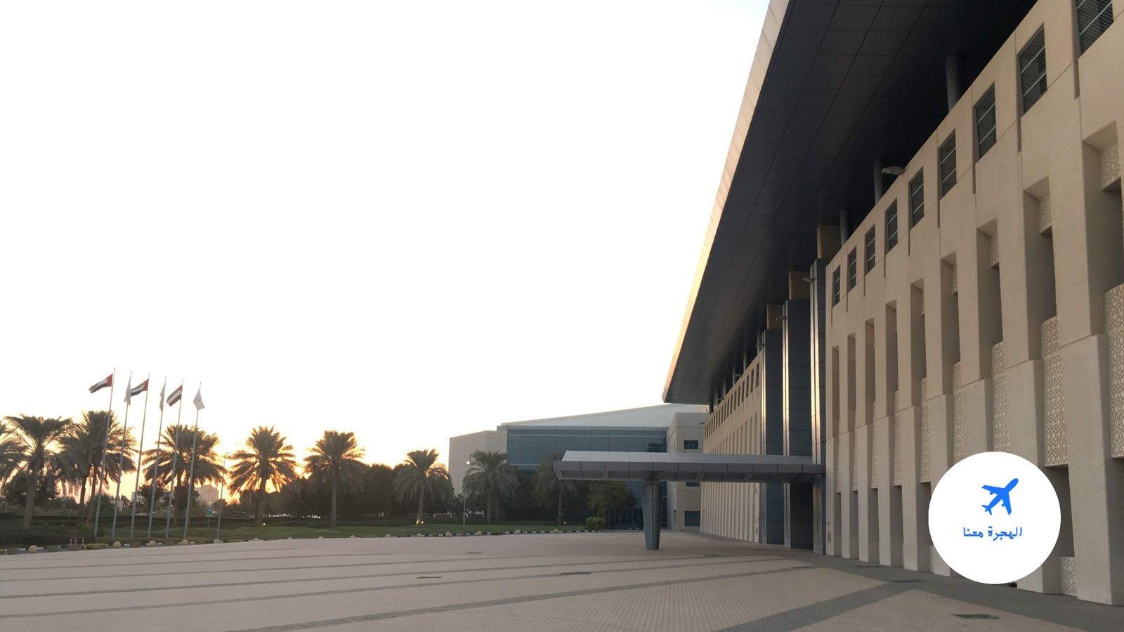 جامعة زايد