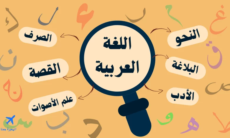 صورة توضح بعض فروع تخصص اللغة العربية