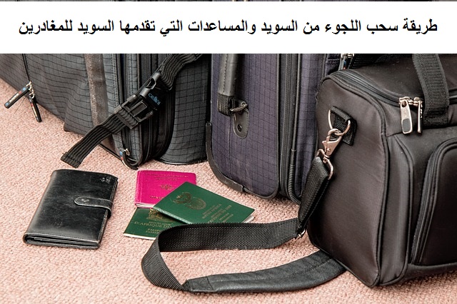 طريقة سحب اللجوء من السويد